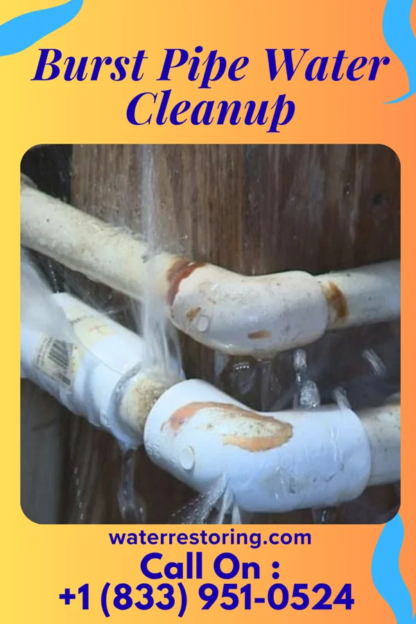 Burst Pipe Water Cleanup in Berkeley, IL