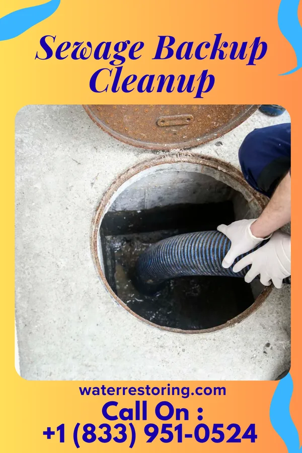 Sewage Backup Cleanup in Berkeley, IL